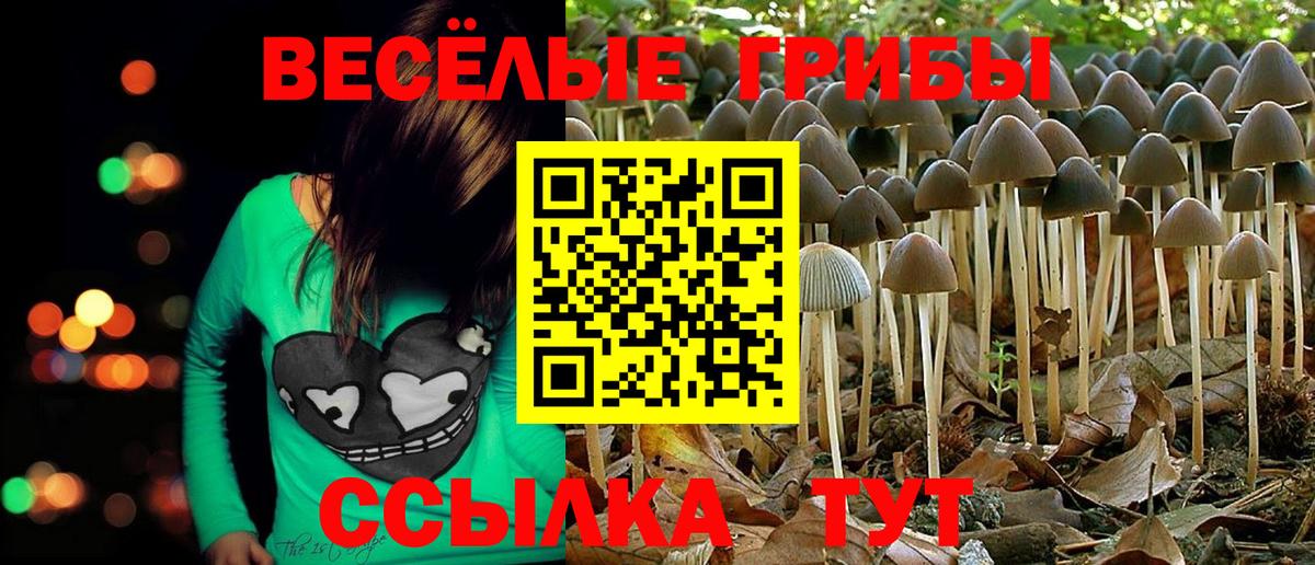 Псилоцибиновые грибы Cubensis Новотроицк