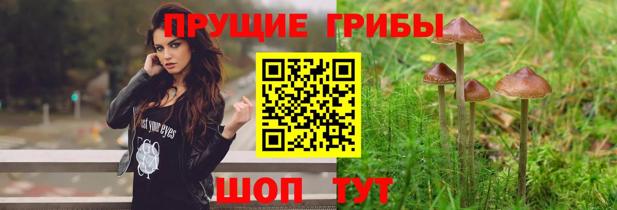 Галлюциногенные грибы Cubensis  Вход с VPN  Новотроицк  Псилоцибиновые грибы прущие грибы 